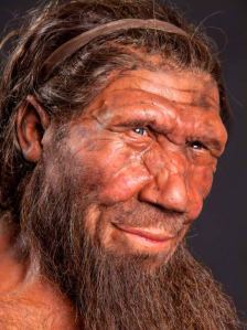 Re-creation of Neanderthal man in London's Natural History Museum. The resemblance to the author is unmistakable. 